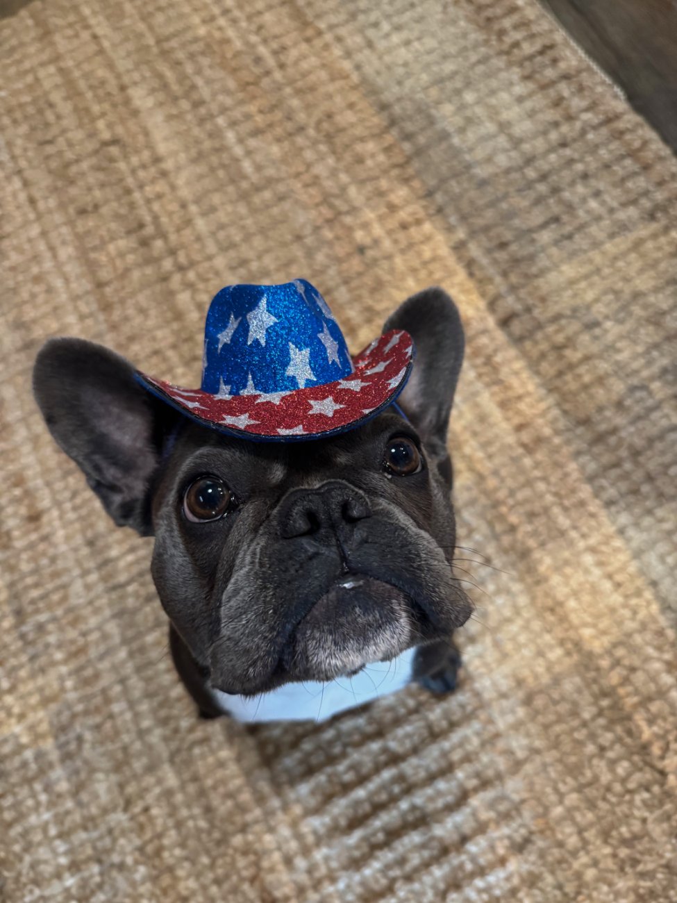 Birdie in a cowboy hat